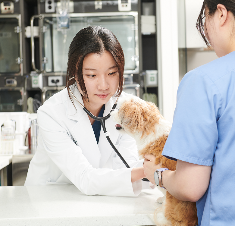 수원 돌봄동물의료센터 수술실 사진