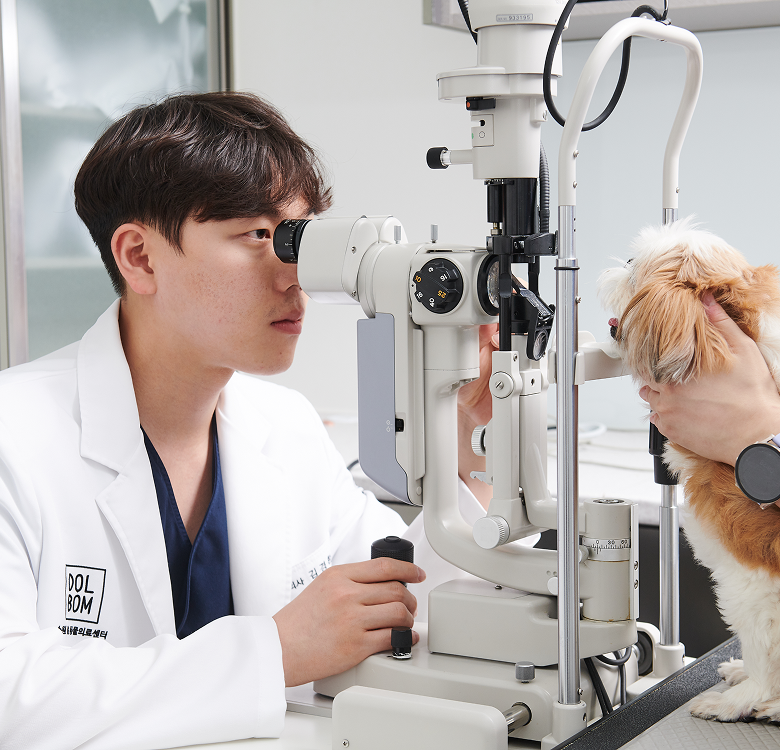 수원 돌봄동물의료센터 수술실 사진